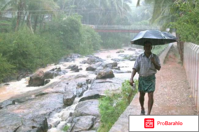 Вьетнам в январе погода отзывы туристов отзывы владельцев