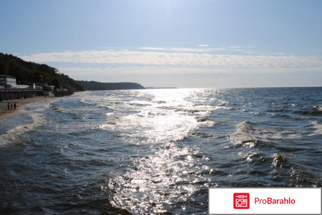 Светлогорск отзывы туристов фото