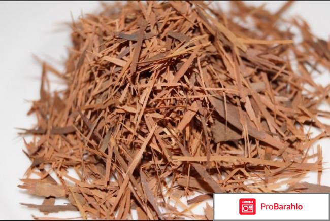 Unitox развод или правда отзывы владельцев