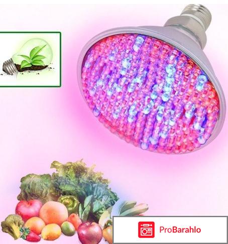 Светодиодные лампы отзывы отрицательные отзывы