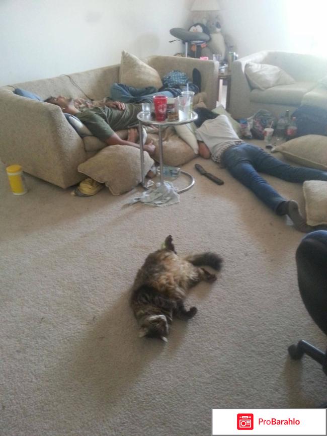 Капли алковирин против алкоголизма 