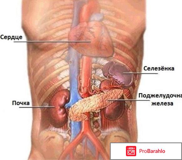 Причины боли в правом боку под ребрами. отрицательные отзывы