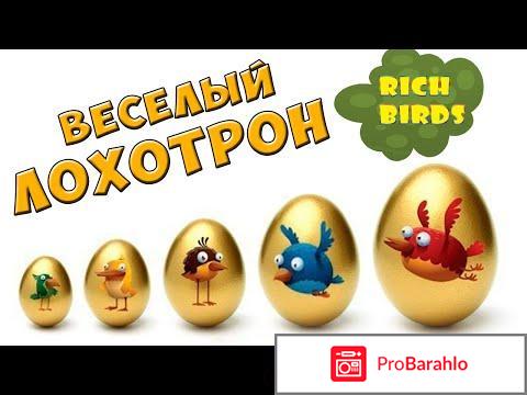 Rich birds org отрицательные отзывы