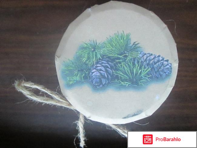 Варенье из сосновых шишек 