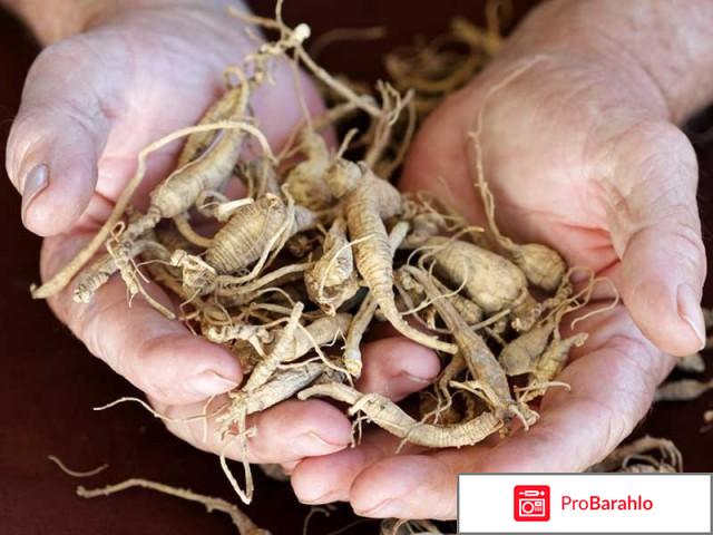 Средства повышающие потенцию у мужчин обман