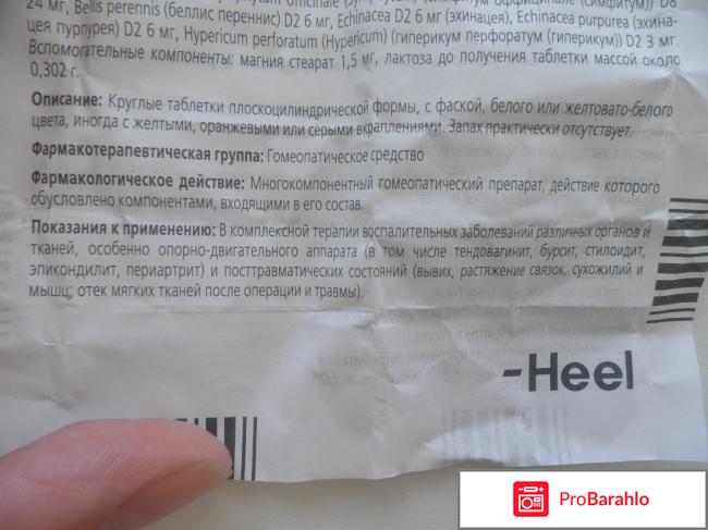 Траумель таблетки отзывы отрицательные отзывы