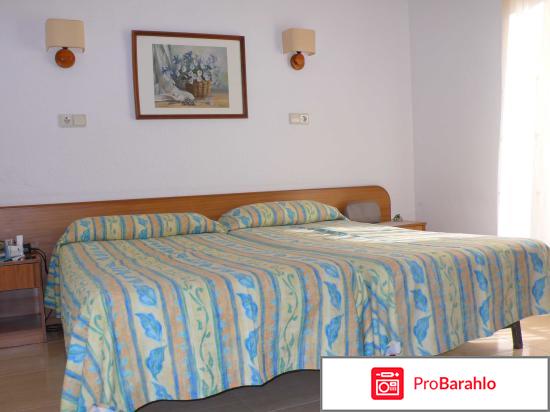 Палмеро обман