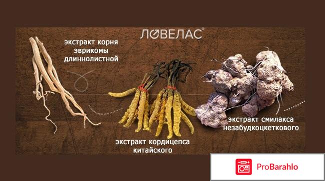 Ловелас форте для мужчин отрицательные отзывы