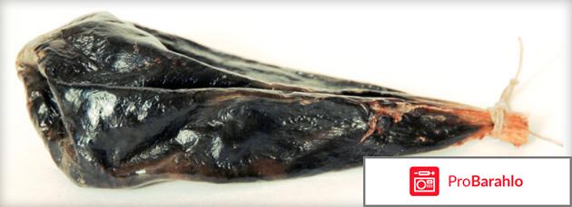 Интоксик отзывы врачей паразитологов цена реальные отзывы