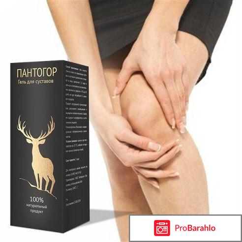Пантогор гель 