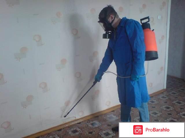 Цифокс от комаров отзывы покупателей реальные отзывы