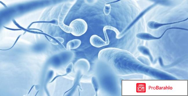 Азооспермия лечение отзывы у мужчин обман