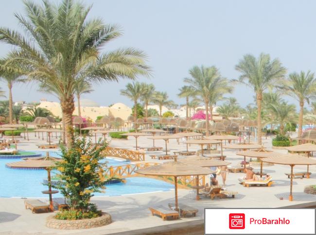 Desert Rоse 5* отзывы владельцев