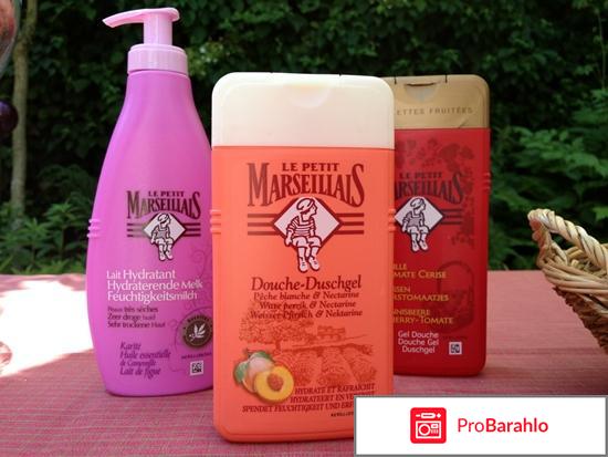 Шампунь ля пети марселье отзывы отрицательные отзывы