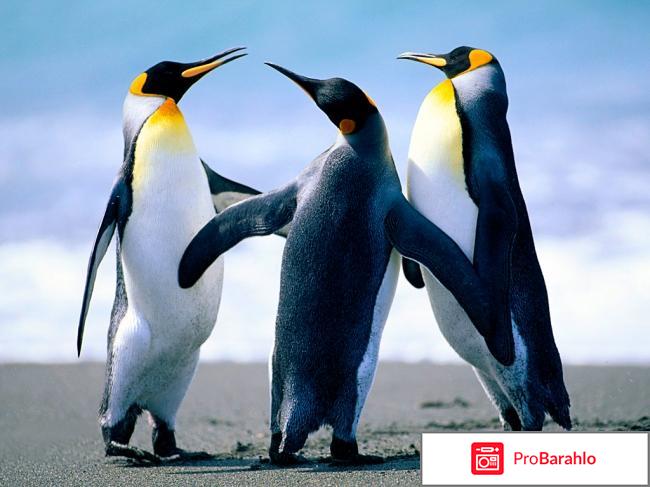 Адаптер Pic адаптер powerline 