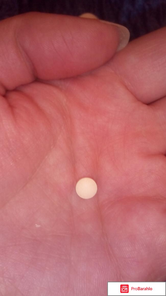 Фолио реальные отзывы