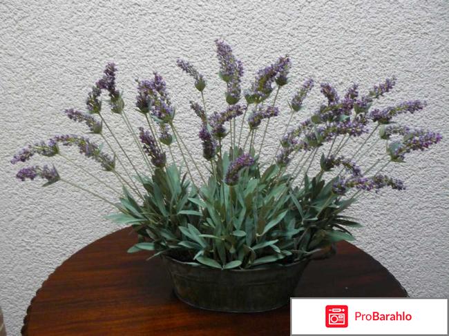 Интерьер спальни в стиле прованс 