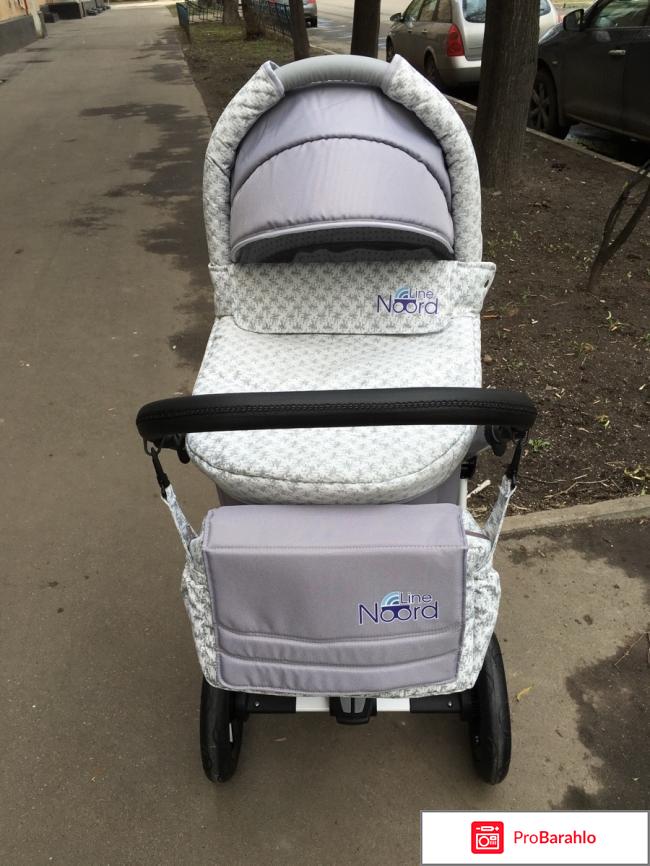 Детская коляска Noordline Edel Viva 