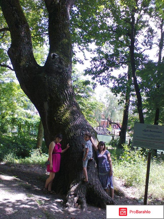 Джубга пансионат джубга обман