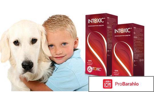 Препарат интоксик отзывы 