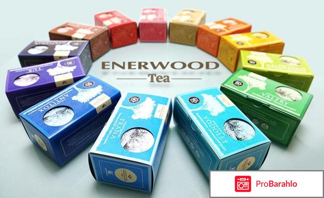 Enerwood tea отрицательные отзывы отрицательные отзывы