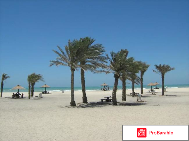 Шарджа оаэ отзывы туристов 