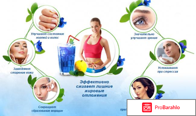 Чай чанг шу состав обман