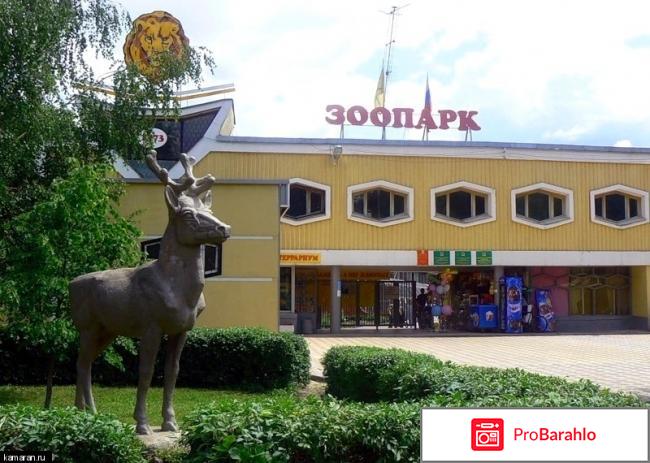 Билеты в зоопарк 