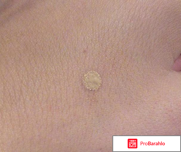 Тональный крем Maybelline Affinitone Совершенный тон, оттенок 024 отрицательные отзывы