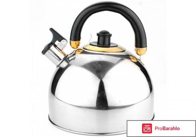 Какой чайник лучше купить реальные отзывы