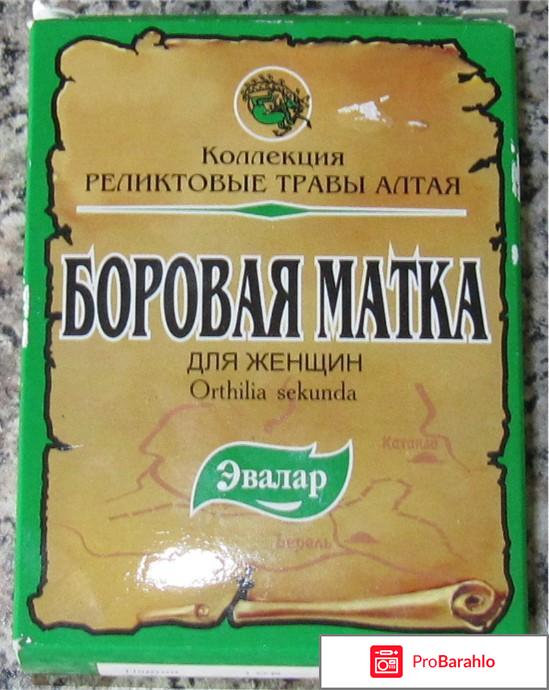 Чай боровая матка отрицательные отзывы