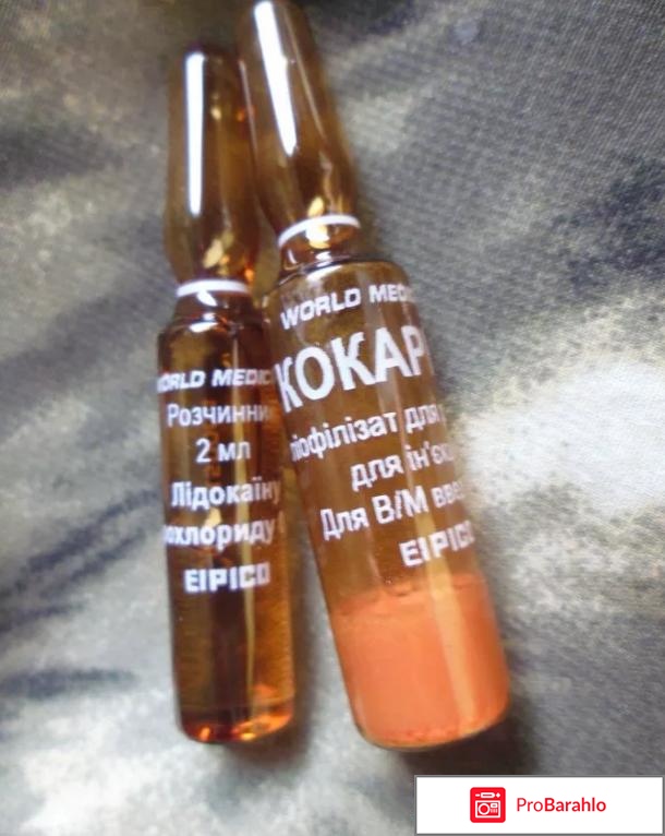 Кокарнит инструкция по применению цена отзывы аналоги реальные отзывы