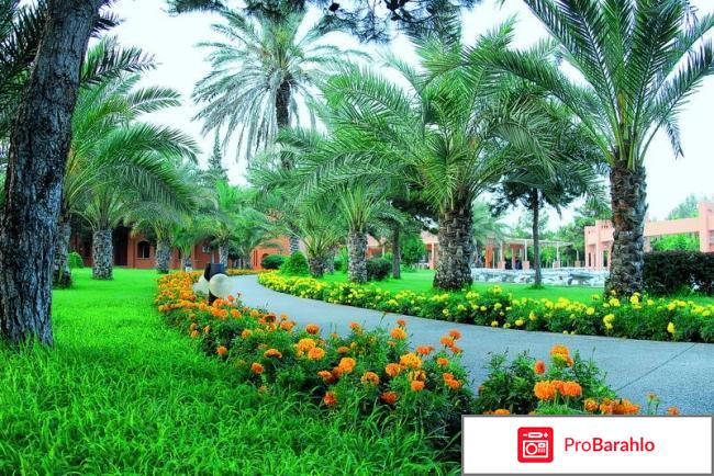 Queens park goynuk 5 