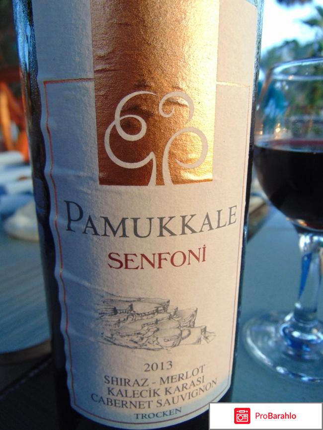 Lonicera World 4?, Турция, Аланья фото