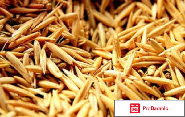 Расторопша овес очищение печени будь здоров отрицательные отзывы