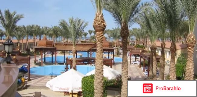 Фестиваль ривьера обман