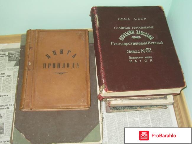 Дубровский конезавод Великого князя Романова обман