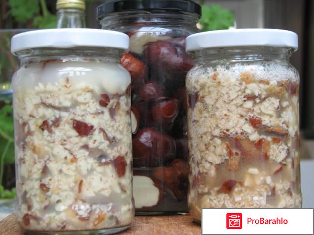 Настойка каштана от варикоза отрицательные отзывы