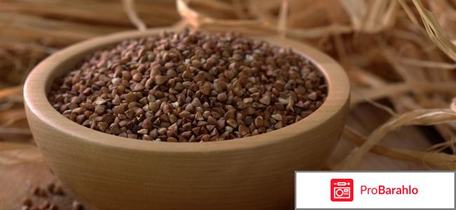 Диета на гречке отзывы и результаты фото 