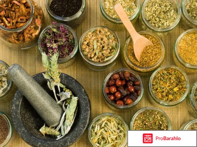 Монастырский чай  афера обман