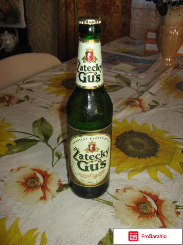 Пиво Zatecky Gus 