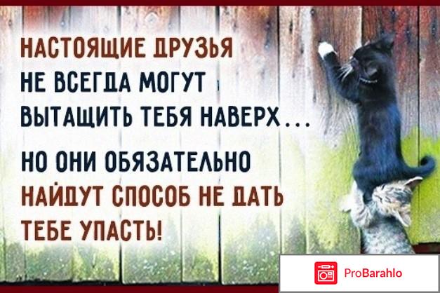 Настоящий друг - что значит это понятие? обман