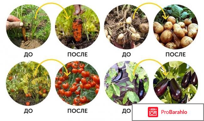 AgroMax (Агромакс) отрицательные отзывы