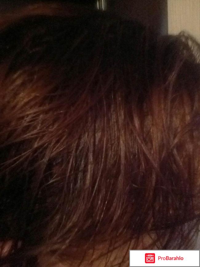 Краска для волос Syoss Oleo Intense обман