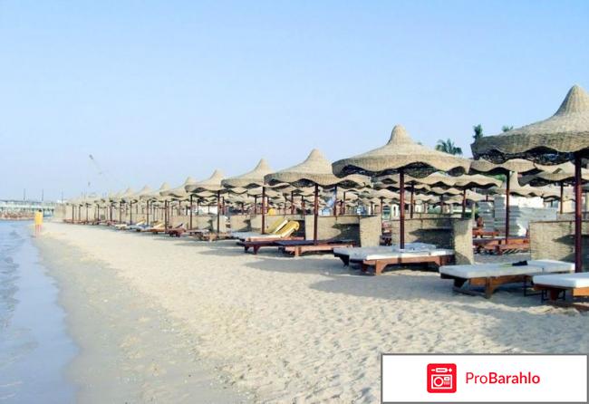 Dessole pyramisa sahl hasheesh 5 обман