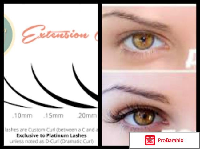 Platinum lashes 