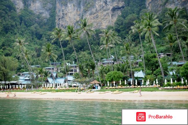 Отдых на краби отзывы туристов обман