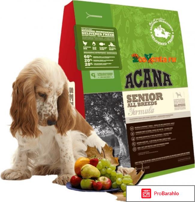 Корм акана для собак отзывы ветеринаров обман