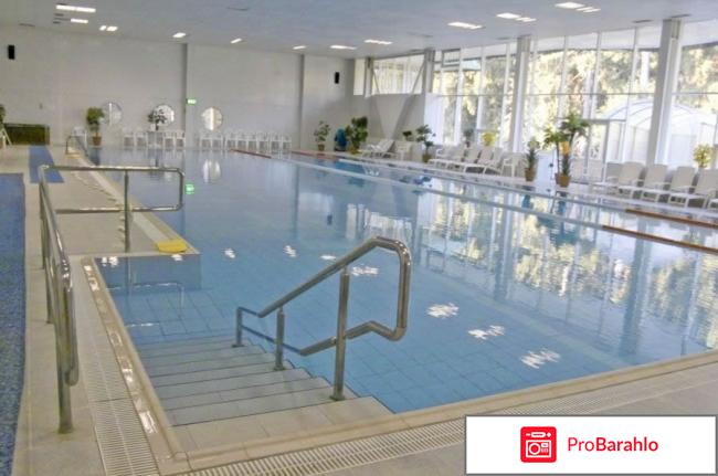 Пансионат лесные дали обман