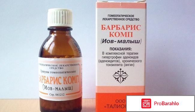 Барбарис комп иов-малыш обман